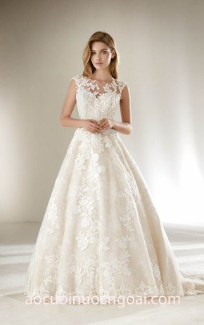 áo cưới meera meera bridal may áo cưới cho cô dâu nhỏ nhắn Pronovias Petite 2018 Dracme